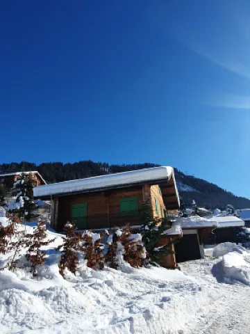 Chalet for 16 people 500m from the village centre - Chatel Reservation