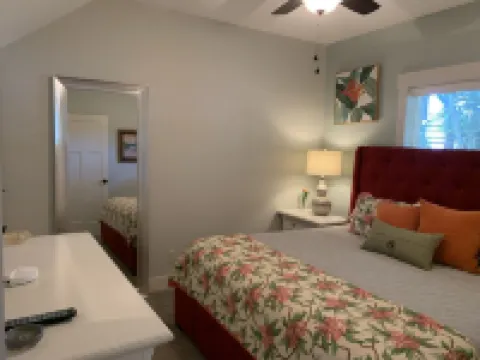 Funky coconut luxury apartment Hoteles en Dunedin