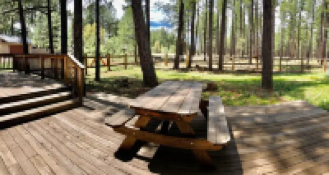 CUSTOM BUILT HOME IN THE HEART OF PINETOP- FENCED-PETS WELCOME