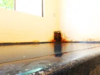 旅館 舶来荘 松本のホテル