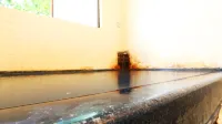 Hakuraiso - Hot Springs