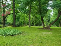 Mimi's Sweet Retreat