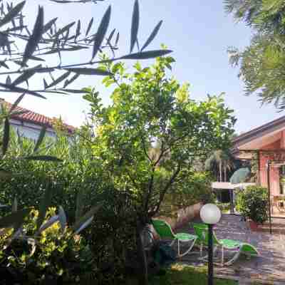 Acqua Chiara Elegant Villa with Garden with Etna View a Stone's Throw from the Sea Hotel Exterior