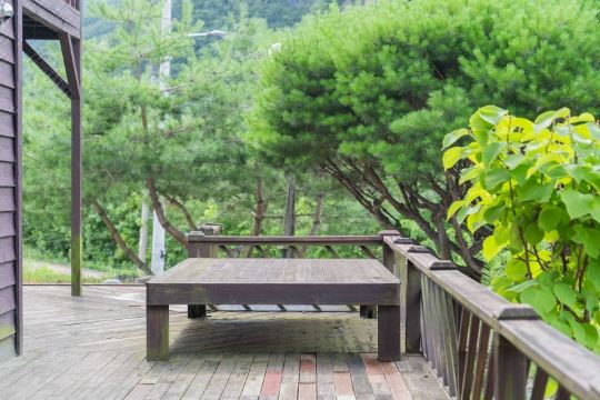 영월 동강 풍경