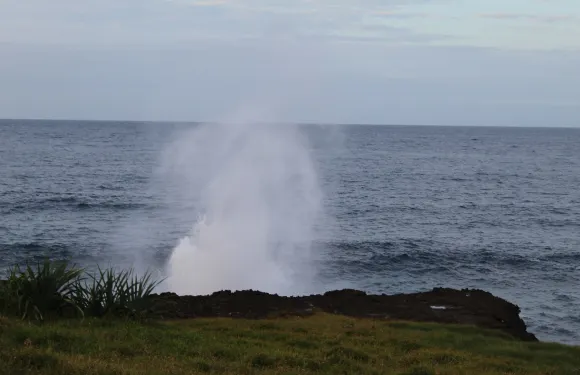 塔納伊卡米爾平房住宿旅館