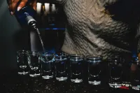 Quality Hotel & Conference Centre - bar