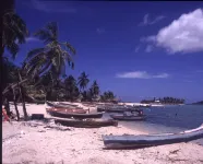 La Villa de Soledad Hotel a Las Mangas