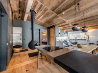 Panorama Lodge Premium Apartments Hotels in Schladming