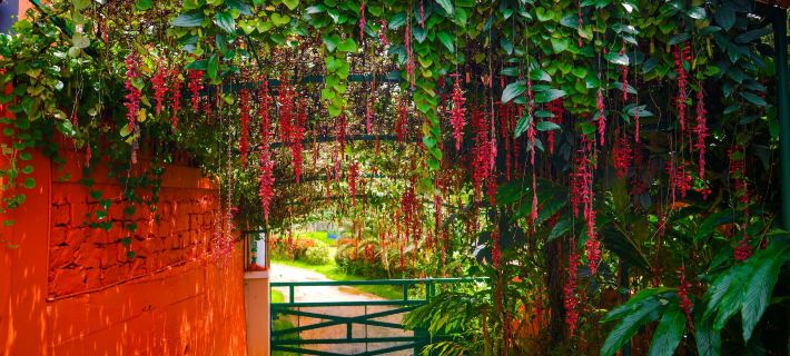 Deva Maani Coorg Nature View Hotels in Kodagu