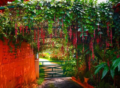 Deva Maani Coorg Nature View