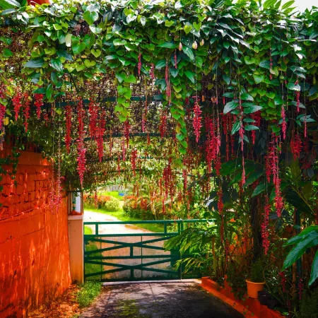 Deva Maani Coorg Nature View