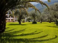 Club Hotel Olivi - Tennis Center Hotels in Malcesine