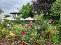 Rose Court Holiday Apartments