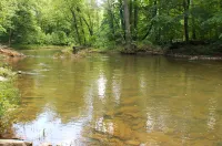 كابين آت سليبي كريك - تشارمينج كابين