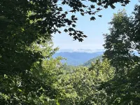 Prime Location 1.5 miles to Ober Gatlinburg