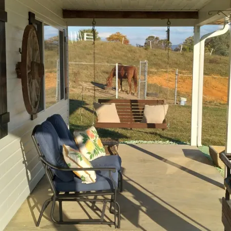 Horse farm with stunning mountain views!