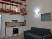 Mantellini 2B