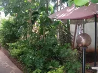 Rock Galana Holiday Apartments Hotels in Galu Beach