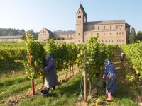 Hotel Trapp Hotels near Kloster Marienthal