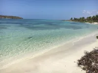 Sea Gate Hotel Hotels in Vieques