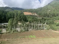 Taktshang Paradise