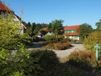 Wohnung in Dranske Mit Garten