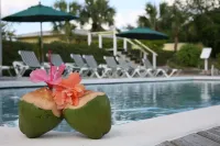 Green Turtle Club Resort & Marina - Kolam Renang