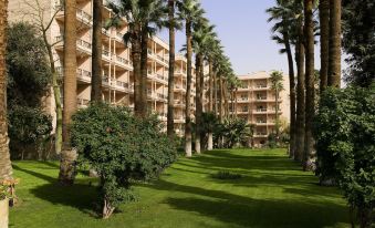 Pavillon Winter Luxor
