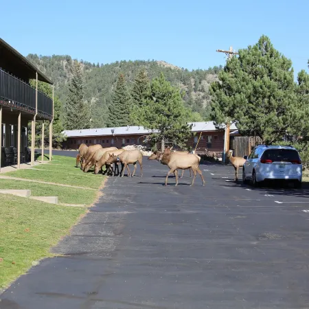 Quality Inn Near Rocky Mountain National Park