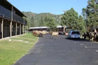 Quality Inn Near Rocky Mountain National Park - parking