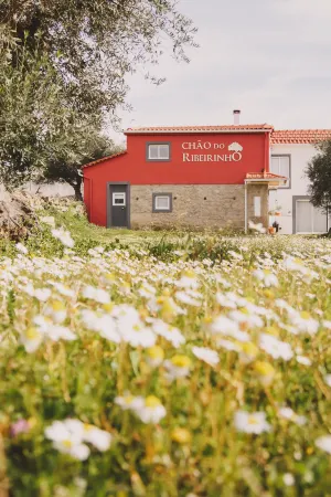 Chão do Ribeirinho, Castelo Branco