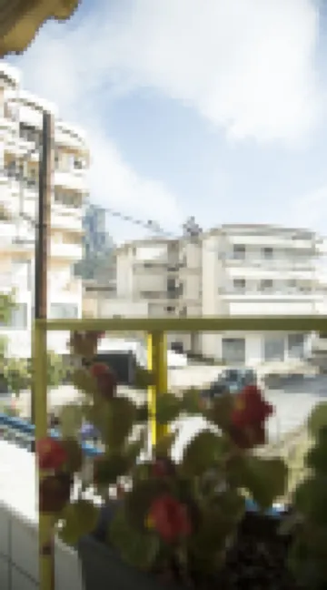 Luxury City Center Apartment