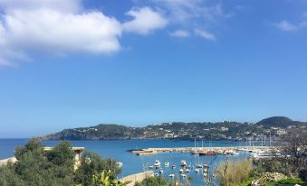 Harbour View B&B
