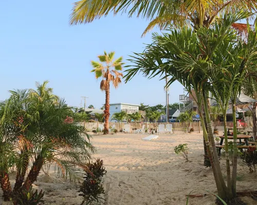 DoubleTree by Hilton Ocean City Oceanfront Freizeit und Erholung Photos