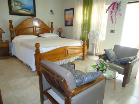 L'Amitié Hôtel Отели в г. Жакмель