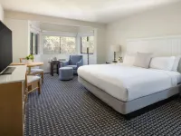 The Lodge at Tiburon Hotels in Tiburon