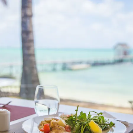 Tropical Attitude,