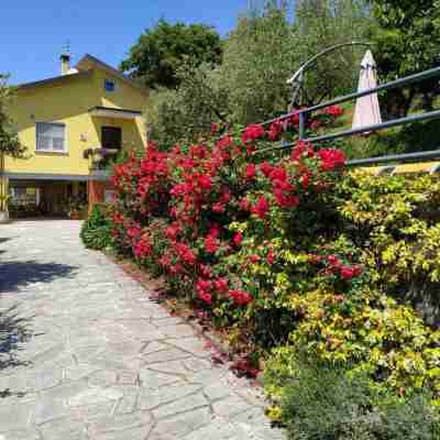 Il Murice Hotel Exterior