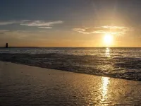 Jardines del Mar