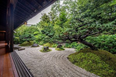 共有エリア 鶴巻温泉 元湯陣屋の写真