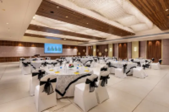 ゴールデン チューリップ ゴア コンドリム