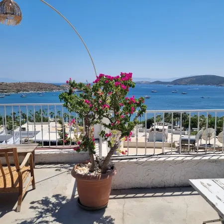 Berg Otel