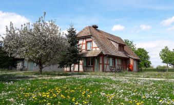 Les Loges de l'Ecomusée D'Alsace