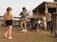 Clandulla Cottages & Farmstay