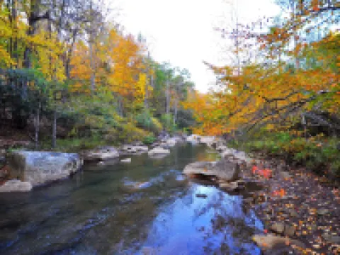 Abrams Creek Center Hotels in Union