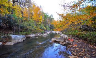 Abrams Creek Center