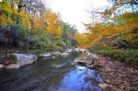 Abrams Creek Center