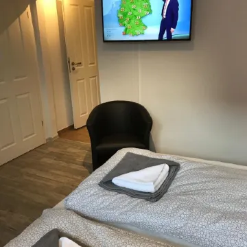 Kleine Möwe