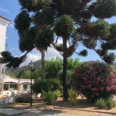 Marina Tossa