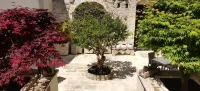 Palazzo Muro Leccese Relais de Charme & Wellness Hotels in Scorrano